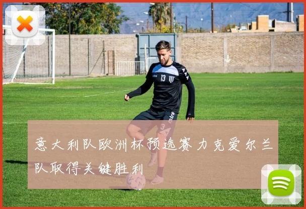 意大利队欧洲杯预选赛力克爱尔兰队取得关键胜利