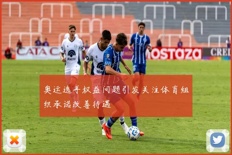 奥运选手权益问题引发关注体育组织承诺改善待遇