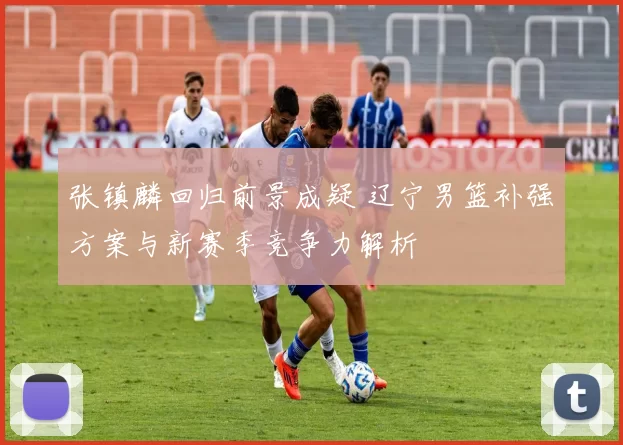 张镇麟回归前景成疑 辽宁男篮补强方案与新赛季竞争力解析