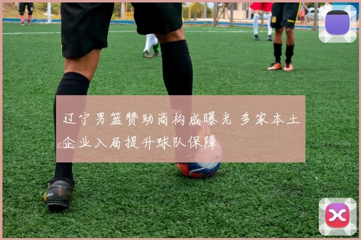 辽宁男篮赞助商构成曝光 多家本土企业入局提升球队保障