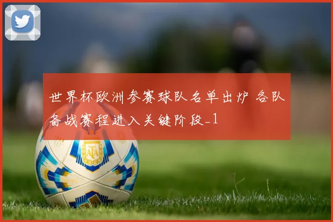 世界杯欧洲参赛球队名单出炉 各队备战赛程进入关键阶段_1